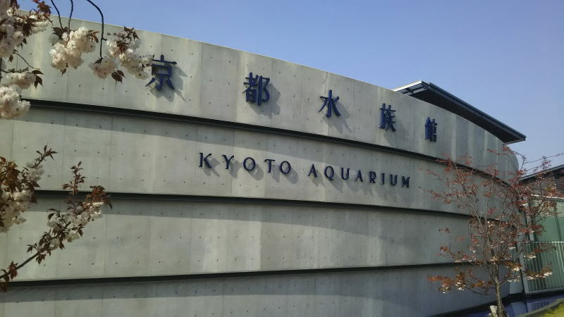 京都水族館 / 京都 旅館 松栄